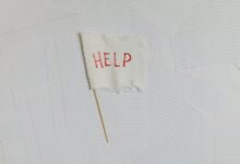 business contact phone number