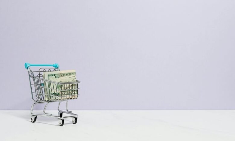 profitable e commerce website development