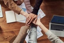 start build scale succeed