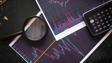 investment potential metrics analyzed