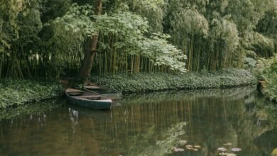 digital monetization revenue engine