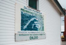 loyalty engagement authority map