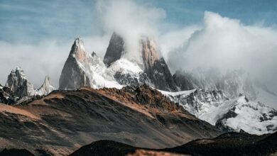 optimize roi for route