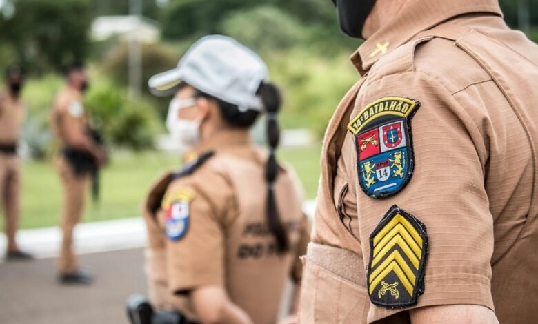 search engine rankings authority