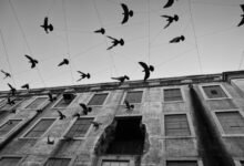 endless journey through momentum