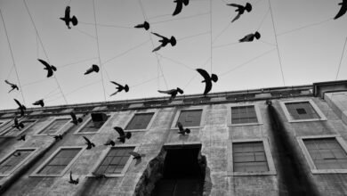 endless journey through momentum