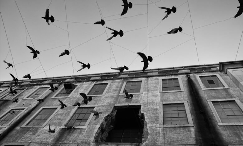 endless journey through momentum