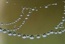 hypernova circuit opportunity rise