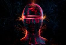 stellar node cyber flow