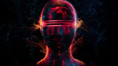 stellar node cyber flow