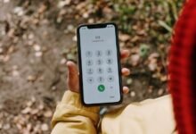 central network ops record numbers