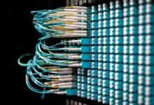 enterprise connectivity audit identifiers listed