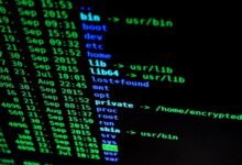 network operations assessment identifiers and ip
