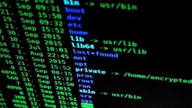 network operations assessment identifiers and ip