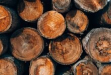 secure systems authentication log identifiers