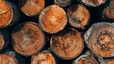 secure systems authentication log identifiers